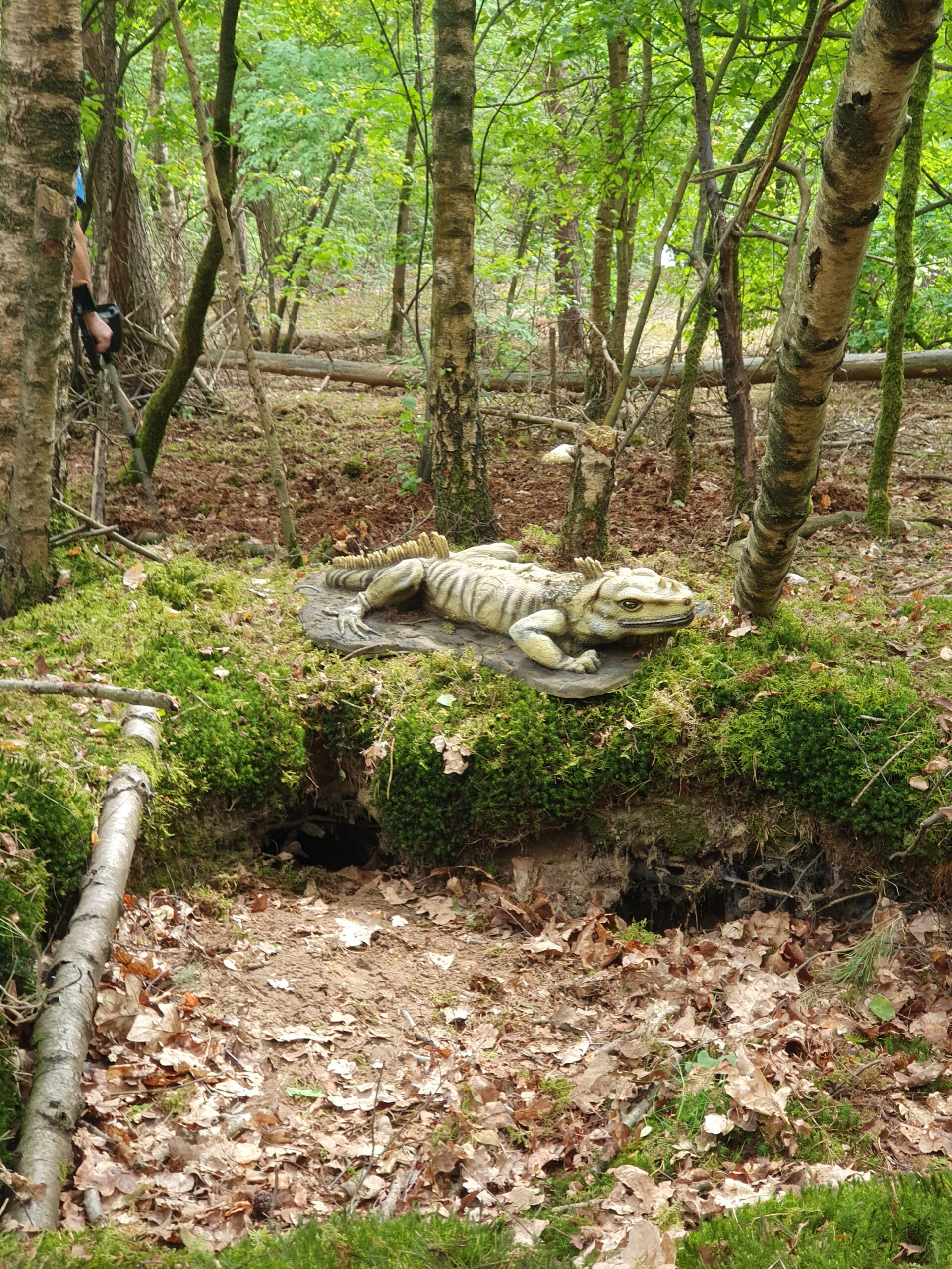 3D Animal dier