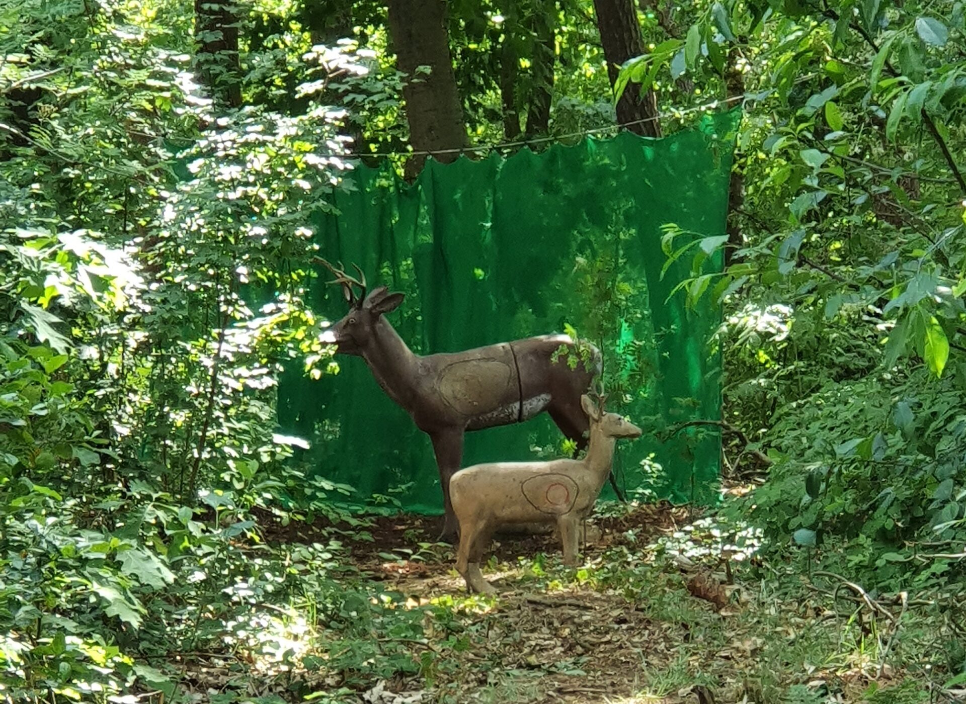 3D Animal bos